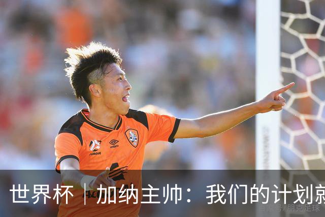 世界杯｜加纳主帅：我们的计划就是让英格兰队受挫