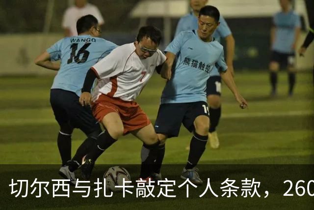 切尔西与扎卡敲定个人条款，2600万镑报价等待桑德兰放行