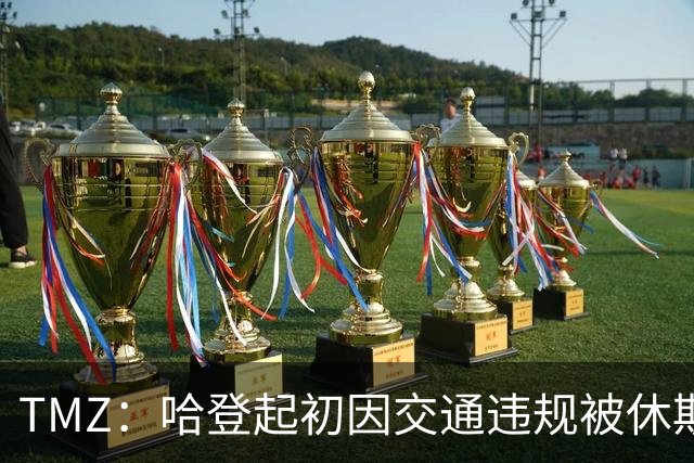 TMZ：哈登起初因交通违规被休斯敦警察拦下 在自报身份后被逮捕